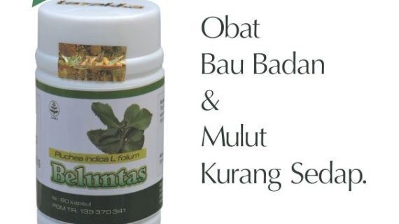 Obat Herbal Beluntas Menghilangkan Bau Badan