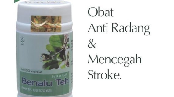 Obat Herbal Benalu Teh Mengobati Kanker