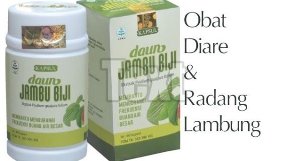 Obat Herbal Daun Jambu Biji Mengobati Sembelit